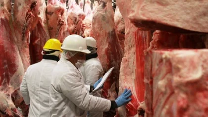 En el país del asado (ya no tantos) rematan un frigorífico