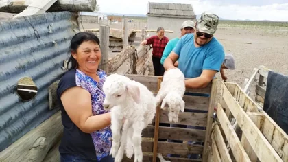 Productores venderán chivitos y corderos a 20 mil pesos