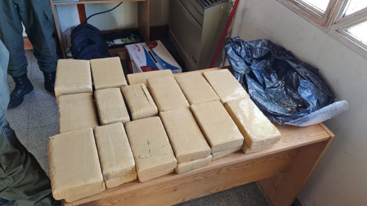 Interceptan encomiendas con 40 kilos de marihuana en un colectivo