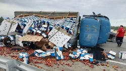 El vuelco de un camión llenó de fruta la rotonda del Tercer Puente