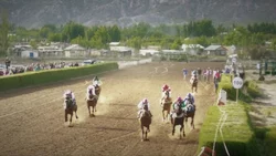 Acusaron a un hombre de organizar carreras ilegales en las que murieron dos caballos