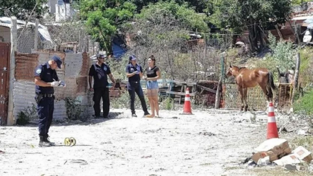 Mató a su ex pareja de dos tiros y se quiso suicidar