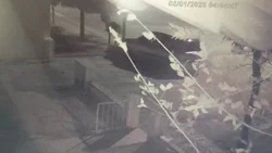 VIDEO: Intentaron robarle el auto y lo chocaron contra un árbol