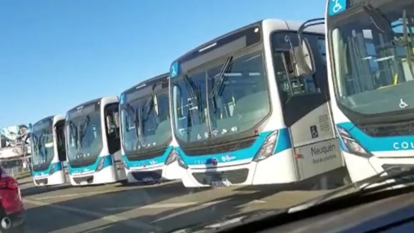 VIDEO: Así son los nuevos colectivos que circularán por Neuquén