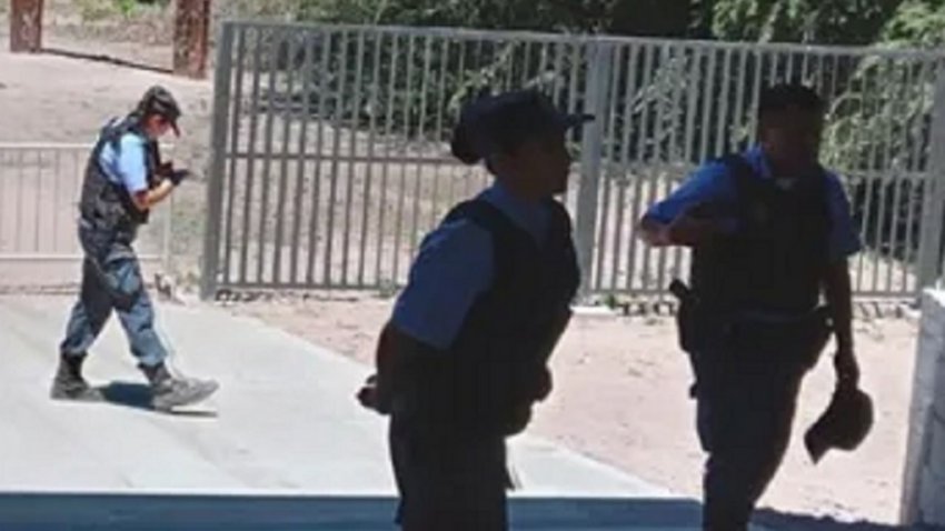 Importante operativo: cerraron la Península Hiroki, buscan a un puma