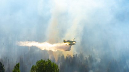 Voraz incendio forestal en El Hoyo: hay evacuados