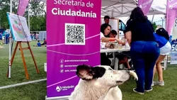 Invitan a más locales neuquinos a aceptar clientes con mascotas