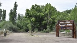 Misterio: hallaron más rastros pero no encuentran al puma en Hiroki