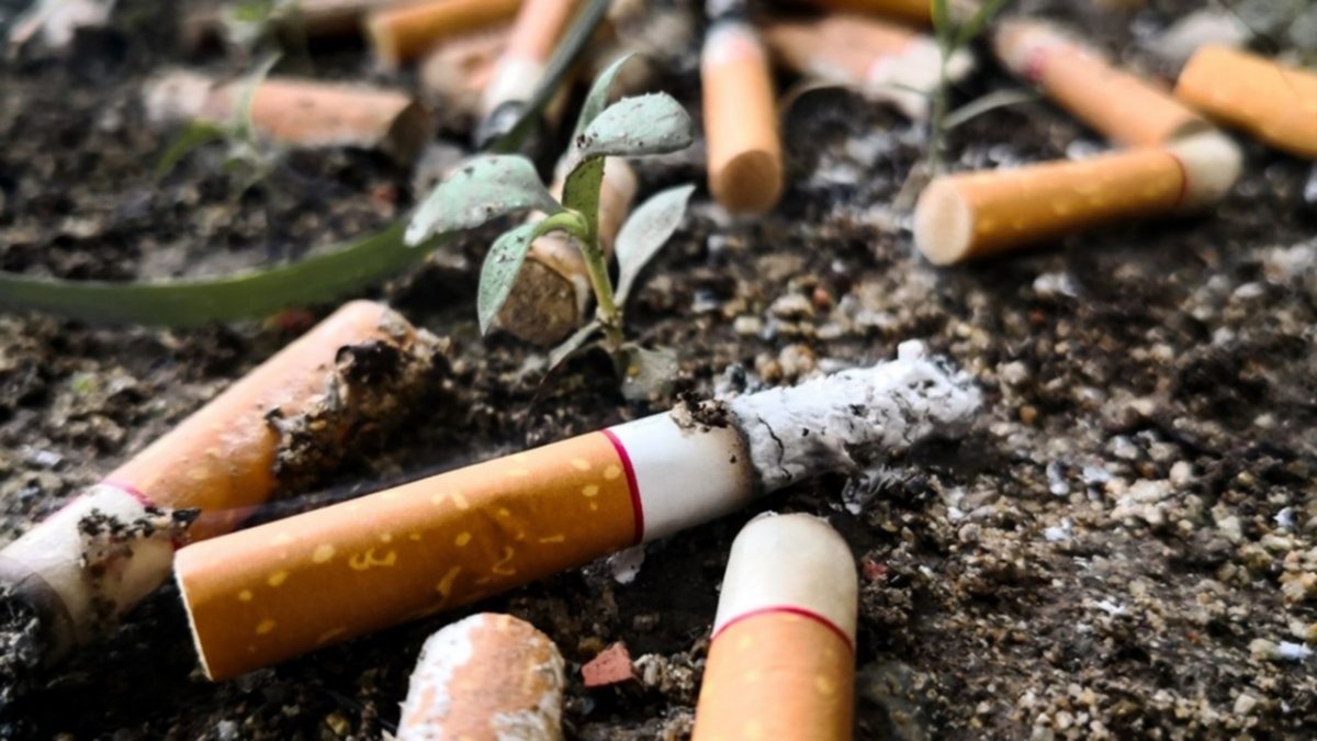 Microbasurales a metros del Limay: "Una colilla de cigarrillo contamina 50 litros de agua"