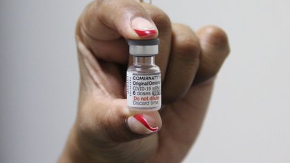 Neuquén: llegaron más de 14 mil vacunas bivalentes de Pfizer