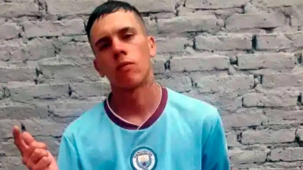 Le ofrecieron $1.000 para salvar a un loro, se subió al árbol y murió electrocutado