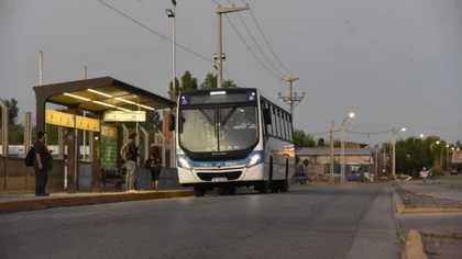 Llegó el día: comenzó a funcionar COLE, el nuevo transporte público