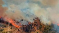El fuego en Los Alerces consumió más de 1300 hectáreas de bosque