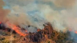 El fuego en Los Alerces consumió más de 1300 hectáreas de bosque