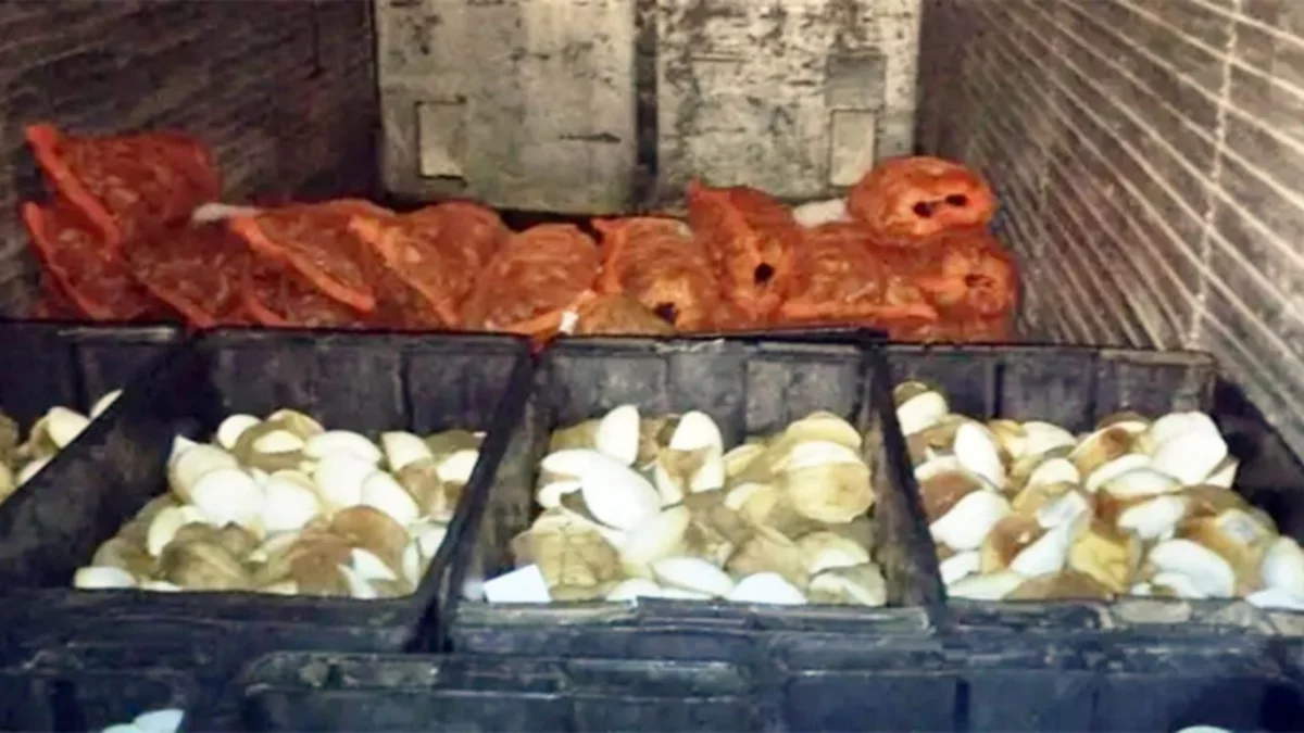 Se pasó de vivo y le sacaron las conchas