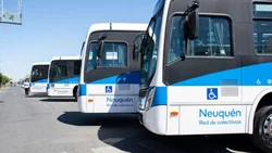 Aumenta el transporte en Neuquén: ¿A cuánto se va el boleto?