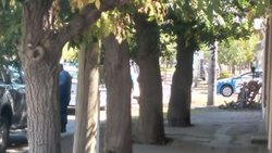 Murió el hombre apuñalado ayer en Don Bosco III
