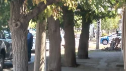 Murió el hombre apuñalado ayer en Don Bosco III
