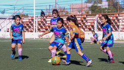 Histórico: habrá futbol femenino en la primaria