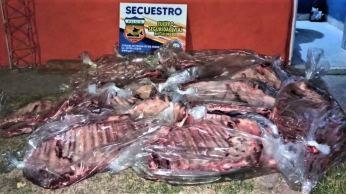 Intentó ingresar costillares escondidos en el baúl
