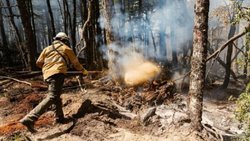 Confirmaron que se extinguió el incendio en Quillén