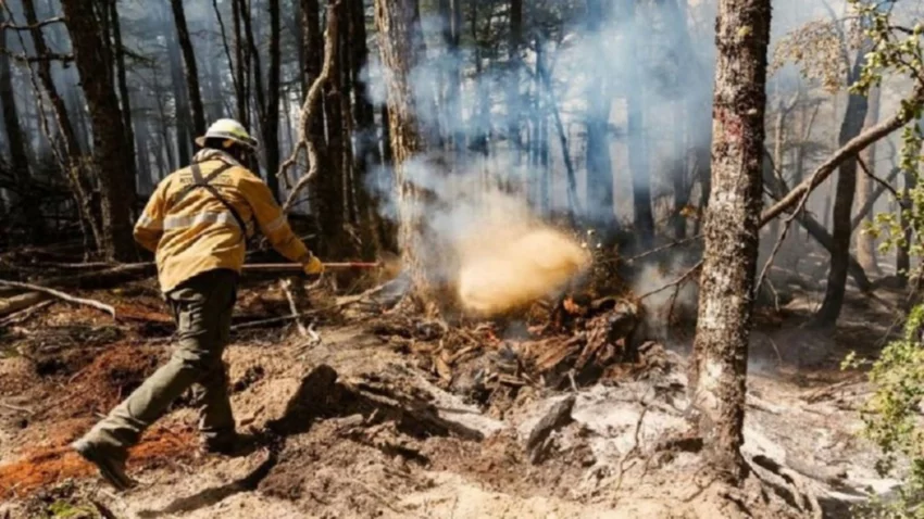 Confirmaron que se extinguió el incendio en Quillén