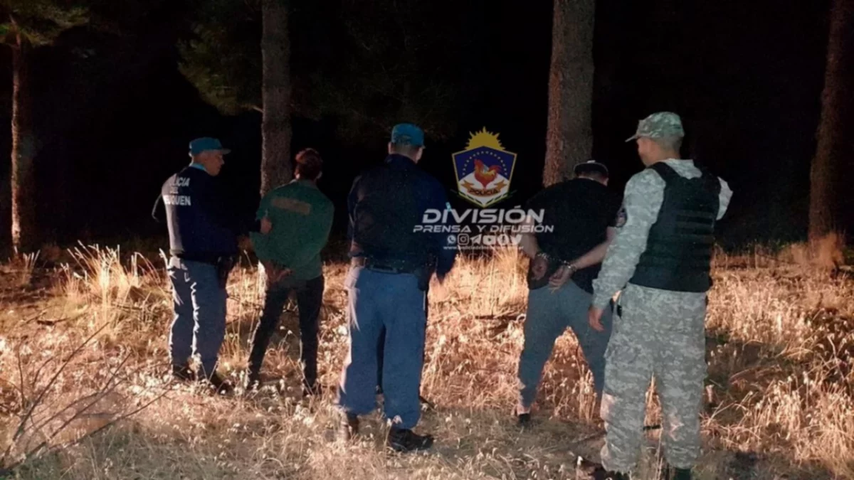 Cuatreros le mataron un vacuno valuado en $300 mil