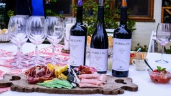 De la mano de Mabellini Wines, comenzó la Vendimia en Neuquén