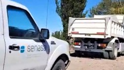 SENASA confirmó que los procedimientos con aves son seguros