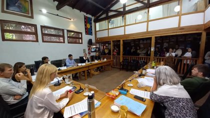 Declararon emergencia por seguridad y salud en SMA