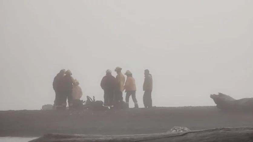 Alarma por un incendio en Lago Tromen: brigadistas combaten las llamas