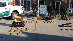 Una perra de gendarmería detectó una millonaria carga de droga