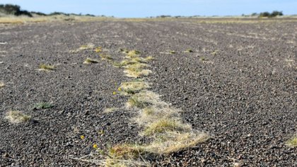 El avión de Carreras no se usa y en Valle Medio no tiene donde aterrizar