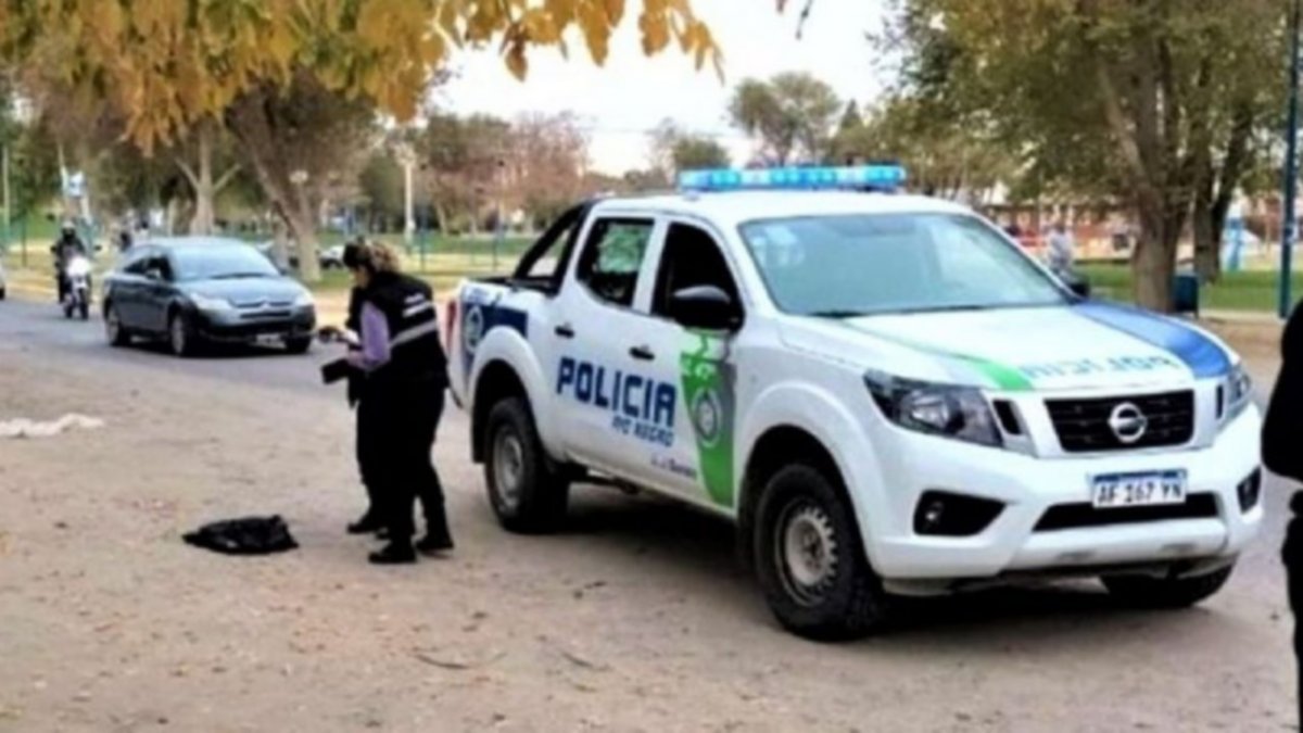 Dice el gobierno que hay menos delitos en Río Negro