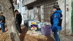 Crueldad: allanaron una casa por supuesto maltrato animal