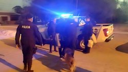 Fingió el robo de $4 millones y un "pequeño" detalle lo vendió