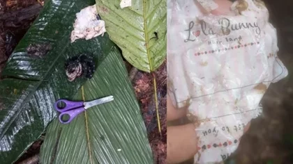 Fotos: la búsqueda y el rescate de los niños en la selva