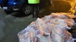 Llevaba escondidos 200 kg de carne en el asiento trasero