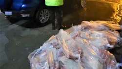 Llevaba escondidos 200 kg de carne en el asiento trasero