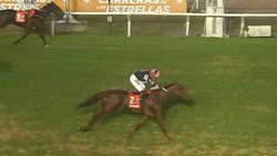 Belleza de Arteaga ganó el Gran Premio Estrellas Distaff