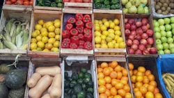 Verdulería imposible: estos son los alimentos que más aumentaron