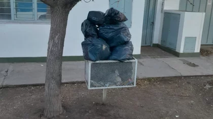 Se supo cuándo se normaliza el servicio de Cliba en Neuquén