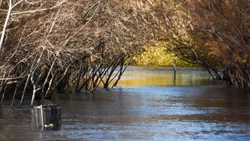 Crecida del Río Neuquén: ¿cuándo bajará el caudal?
