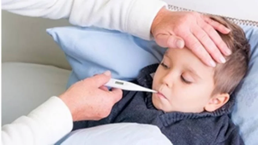 Qué es y cómo se contagia el Streptococcus pyogenes