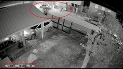 Salió a guardar el auto y la atacaron en manada para robarle