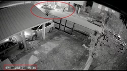 Salió a guardar el auto y la atacaron en manada para robarle
