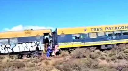 Otra vez descarriló el Tren Patagónico
