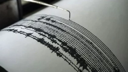 Sismo en Neuquén: ¿se sintió realmente o fue una falsa alarma?