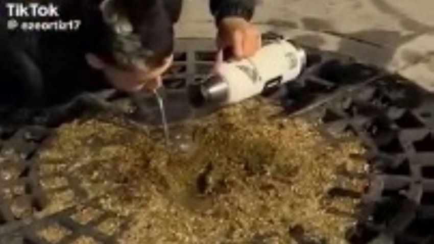 Habló el chico del polémico "mate" en la Plaza de las Banderas