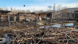 Neuquén declaró "Estado de Emergencia y/o desastre hídrico"